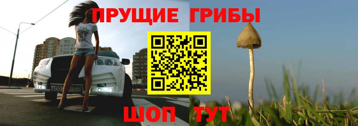 Псилоцибиновые грибы Cubensis Сибай